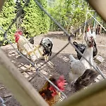 Blockhuette Σπίτι διακοπών *