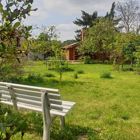Blockhuette Holiday home *