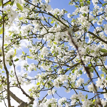 別荘 Blockhuette *