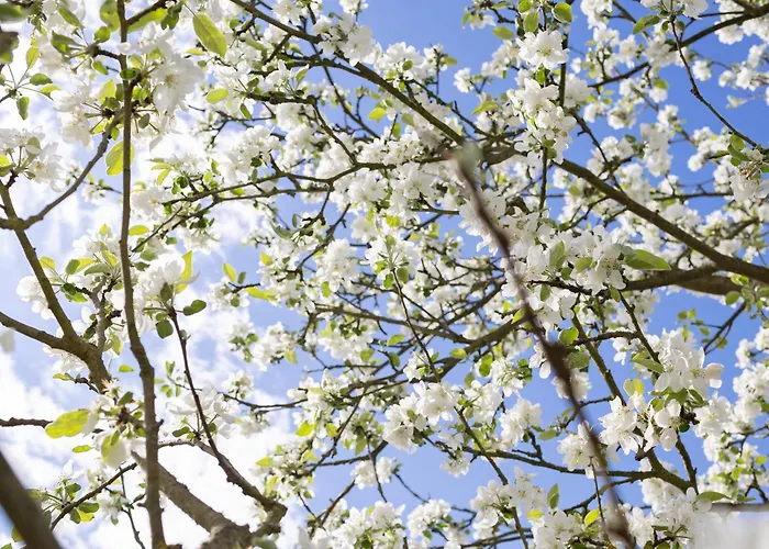 別荘 Blockhuette *