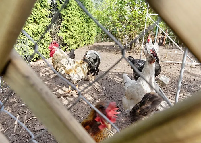 Prázdninový dům Blockhuette *